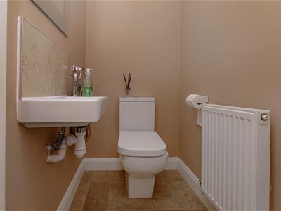 Picture 17
